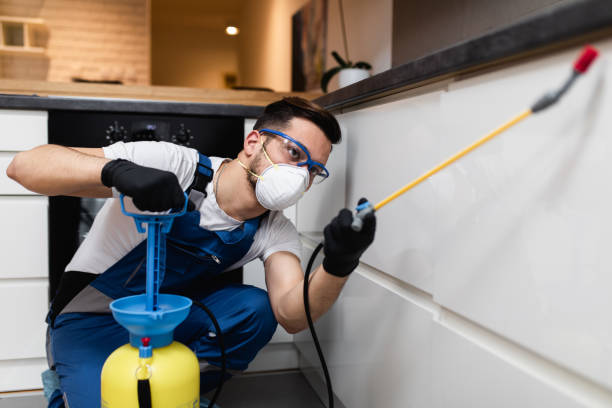 Best Mosquito Control Services  in Prospect Heights, IL