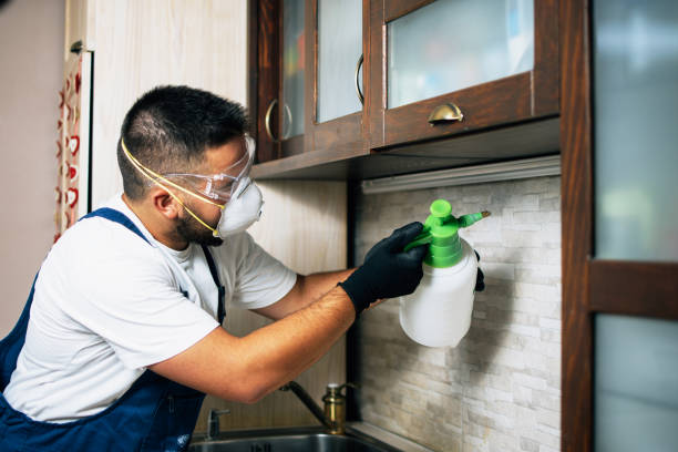 Pest Control Cost in Prospect Heights, IL