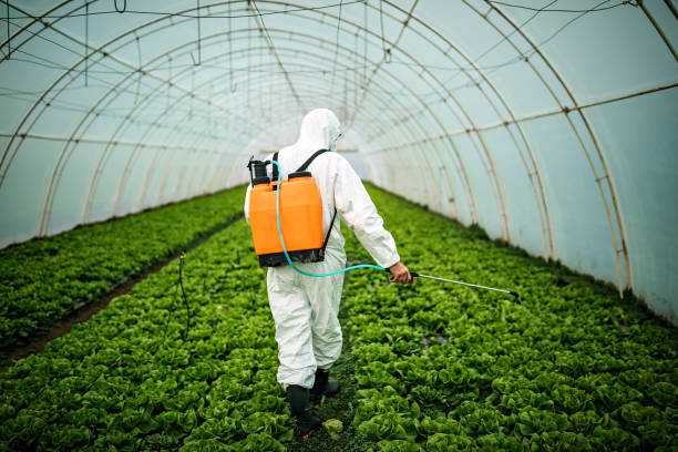 Best Affordable Pest Control Services  in Prospect Heights, IL