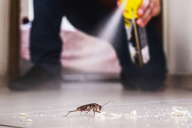 Best Best Pest Control Companies  in Prospect Heights, IL
