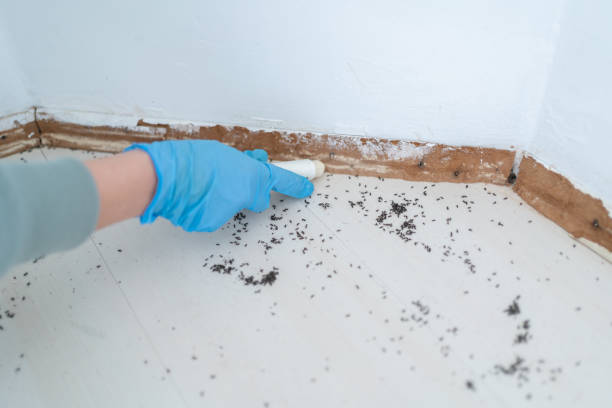 Best Wildlife Control Services  in Prospect Heights, IL